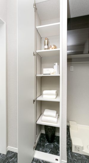 洗面室のニッチ収納、ユーティリティー収納、住宅設備